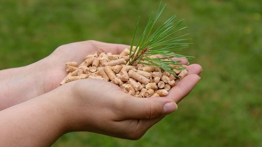 Pellet: koszty i ekologia – fakty zamiast mitów