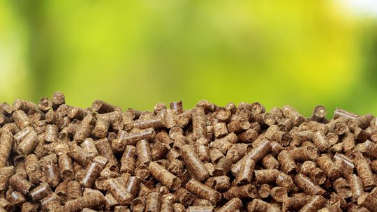 pellet