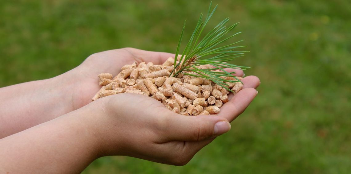 Pellet: koszty i ekologia – fakty zamiast mitów