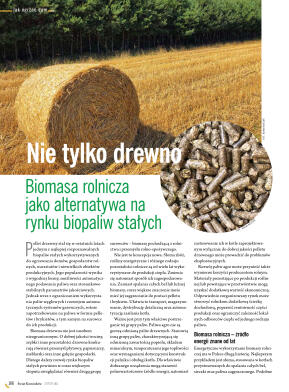 Świat Kominków 3/2026 (83) - przeglądaj bezpłatnie - strona 168
