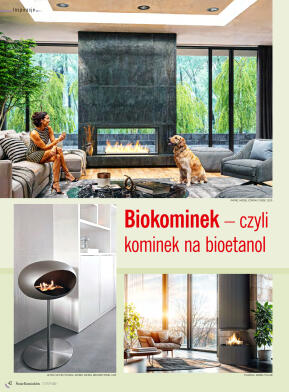 Świat Kominków 2/2026 (82) - przeglądaj bezpłatnie - strona 44